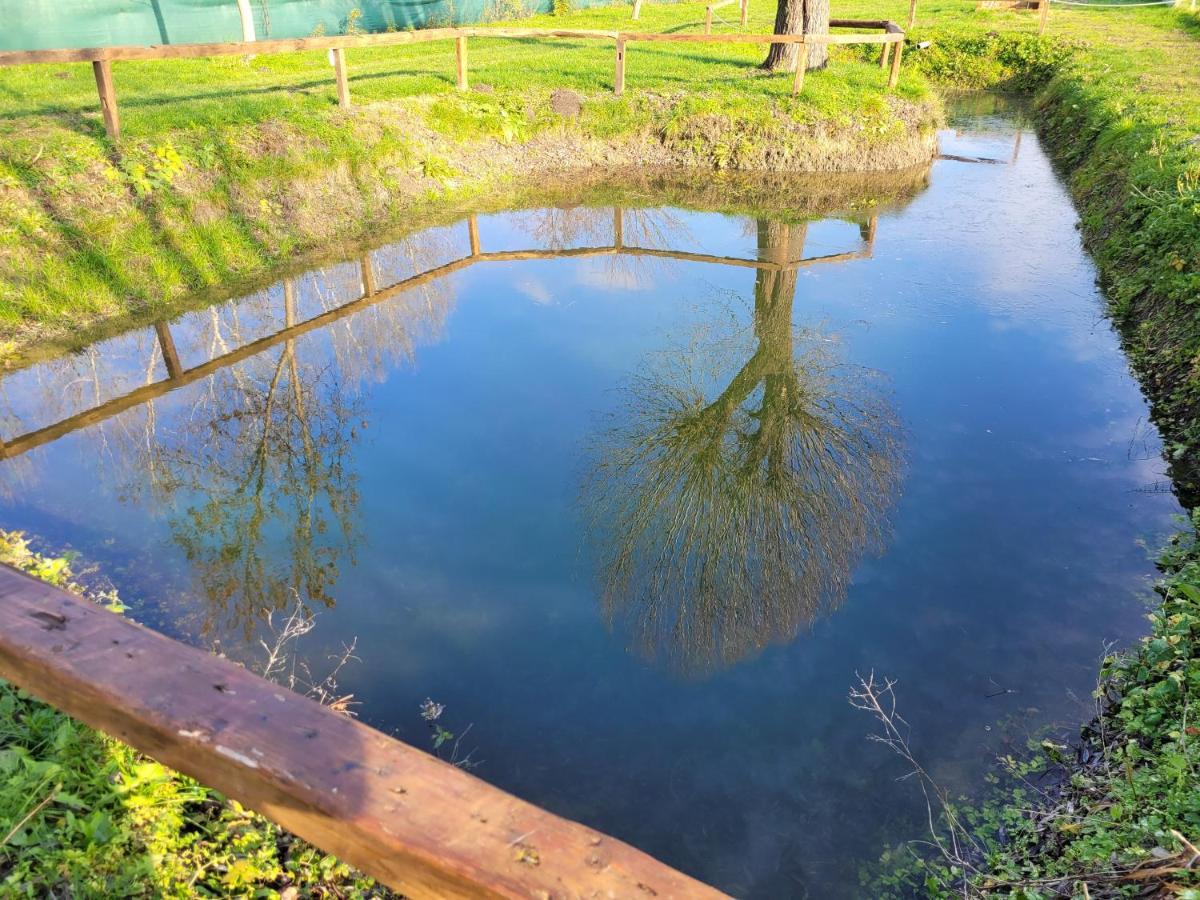 Vegvari Vendeghaz Magyarbóly Exteriér fotografie